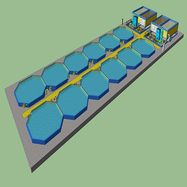 节能设施型工厂化循环水养殖系统