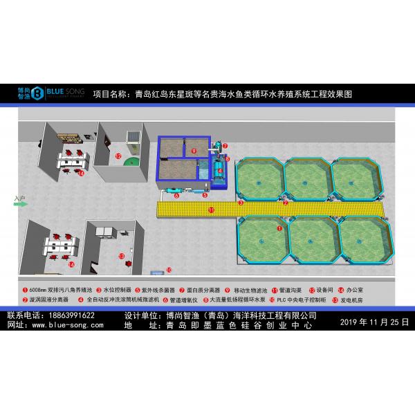 青岛红岛东星斑循环水养殖车间